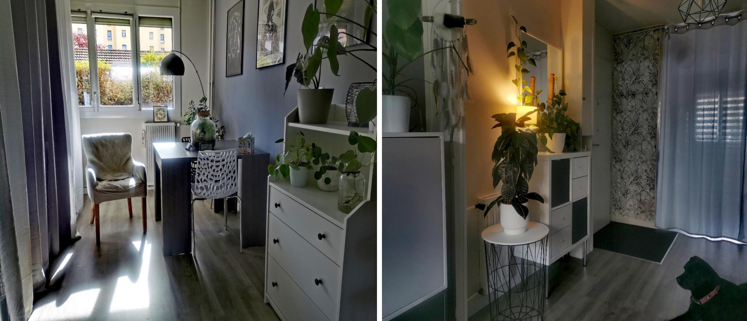 Consultations de psychothérapie